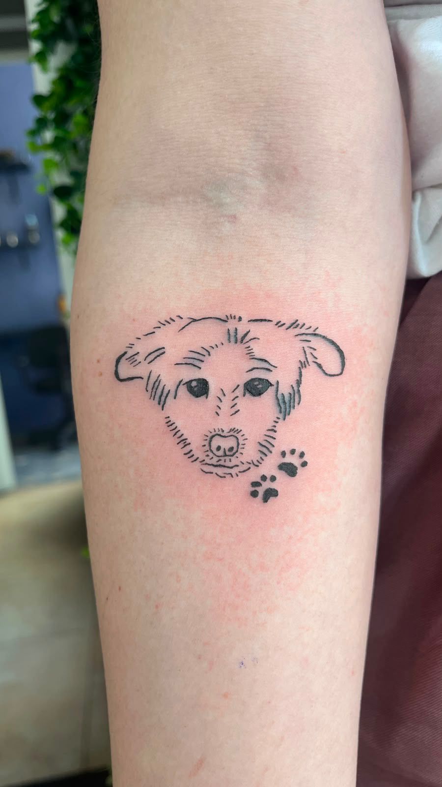 img_daisy_cachorra_tattoo